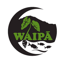 Waipā Foundation